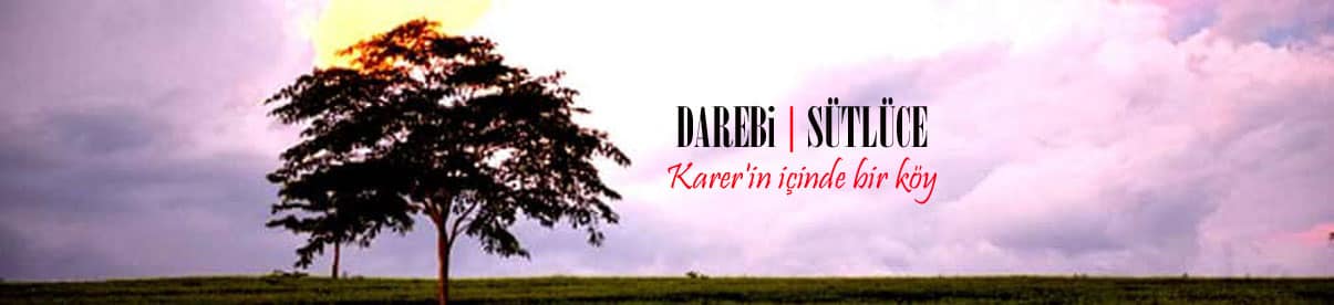 Darebi.com